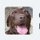 Fundraising Page: Mary Waggener